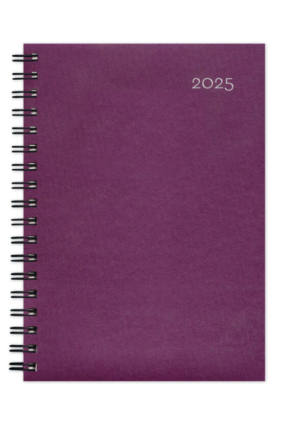 2025_ΗΜΕΡΟΛΟΓΙΟ_SIMPLE_SPIRAL_RUBIN