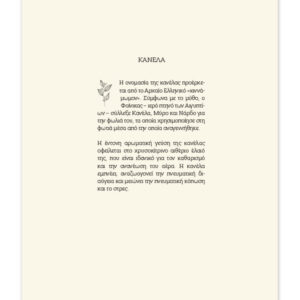 ΗΜΕΡΟΔΕΙΚΤΕΣ ΗΜΕΡΗΣΙΟΙ 17Χ25 BOTANICAL
