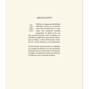 ΗΜΕΡΟΔΕΙΚΤΕΣ ΗΜΕΡΗΣΙΟΙ 17Χ25 BOTANICAL