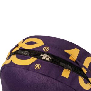 ΣΧΟΛΙΚΗ ΤΣΑΝΤΑ POLO 75 901075-4700